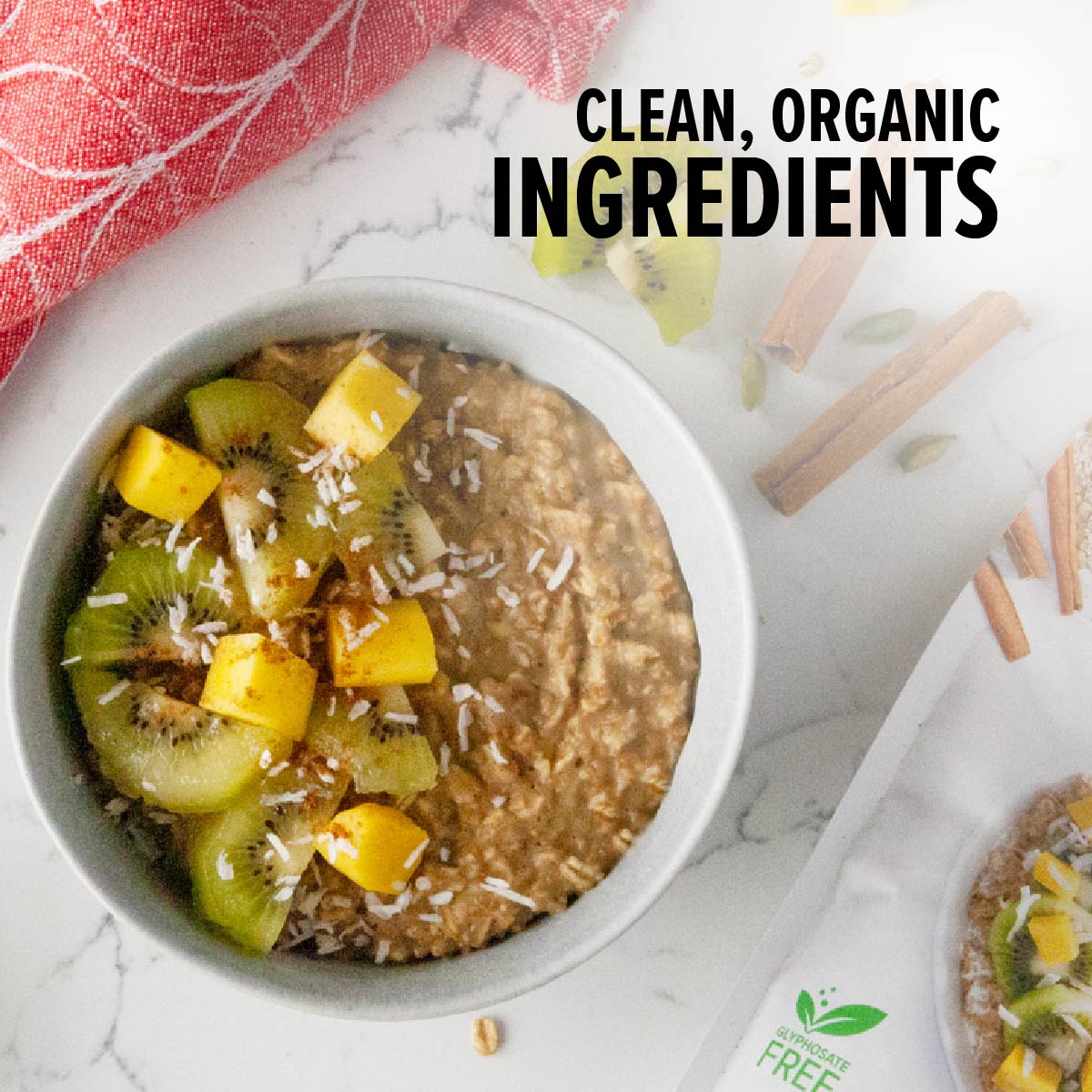 Sprouted Coconut Sugar & Spice Organic Instant Oatmeal