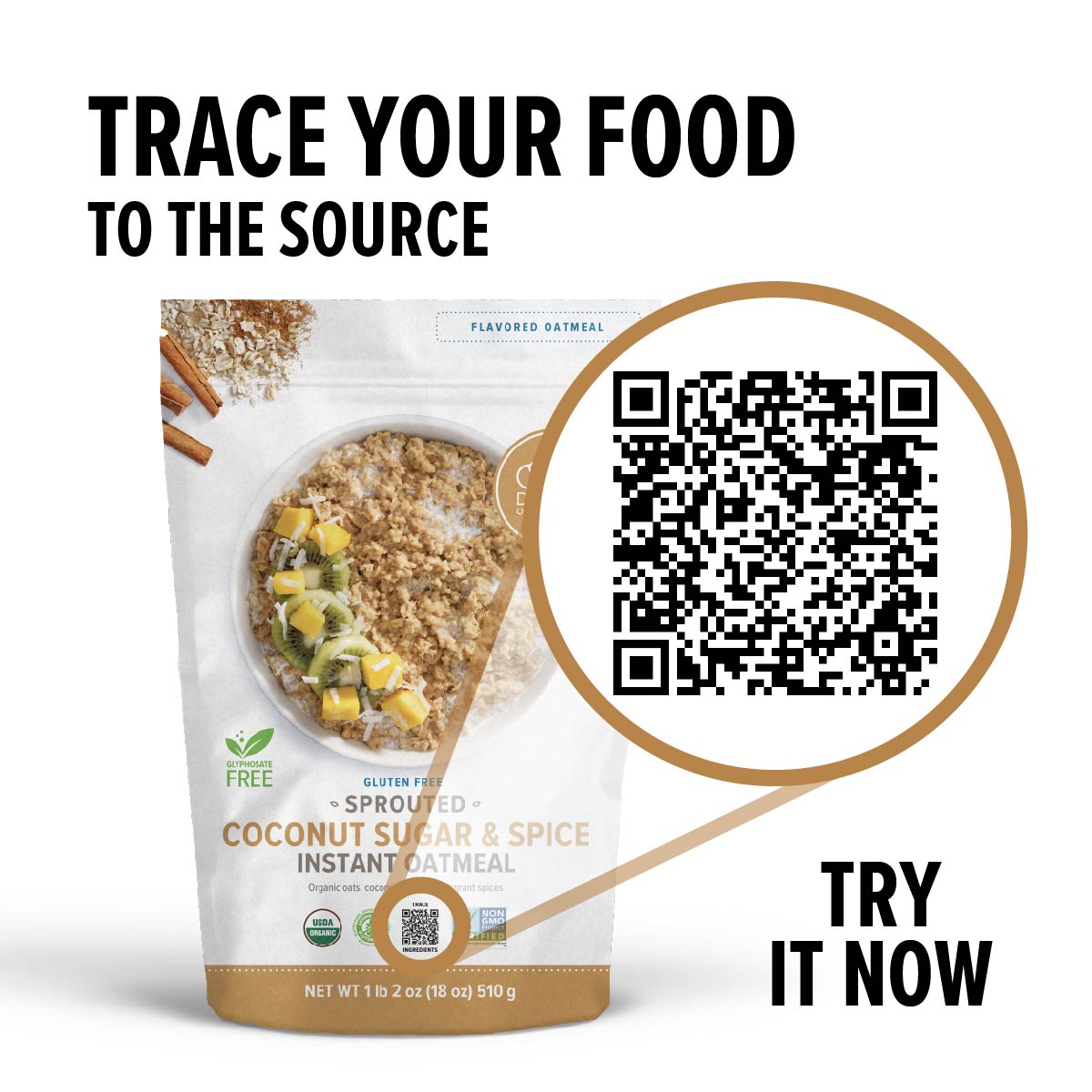 Sprouted Coconut Sugar & Spice Organic Instant Oatmeal