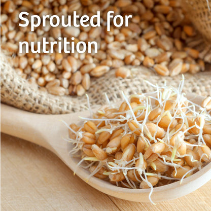 The Big 16™ Sprouted Wheat Bread